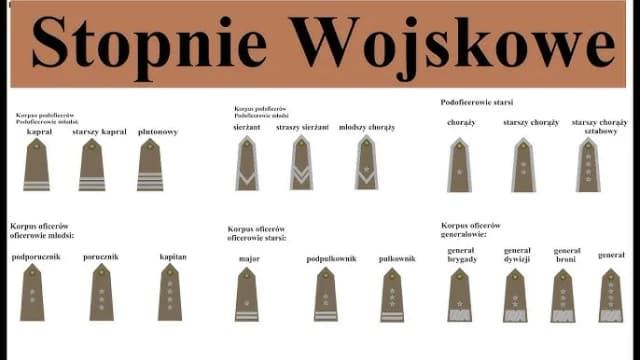 Jaki stopień po studiach wojskowych? Odkryj, co możesz osiągnąć Jaki stopień po studiach wojskowych? Odkryj, co możesz osiągnąć