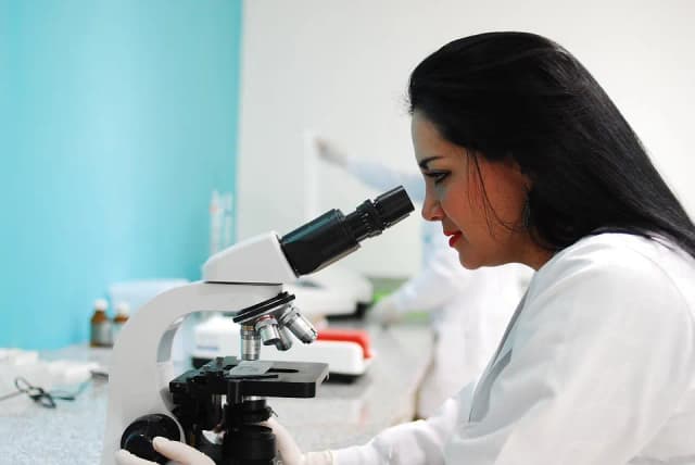 Co można robić po studiach biologicznych? Sprawdź najlepsze ścieżki kariery Co można robić po studiach biologicznych? Sprawdź najlepsze ścieżki kariery